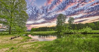 von_poll_real_estate_property_25016005_image_11