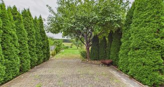 von_poll_real_estate_property_25016011_image_17