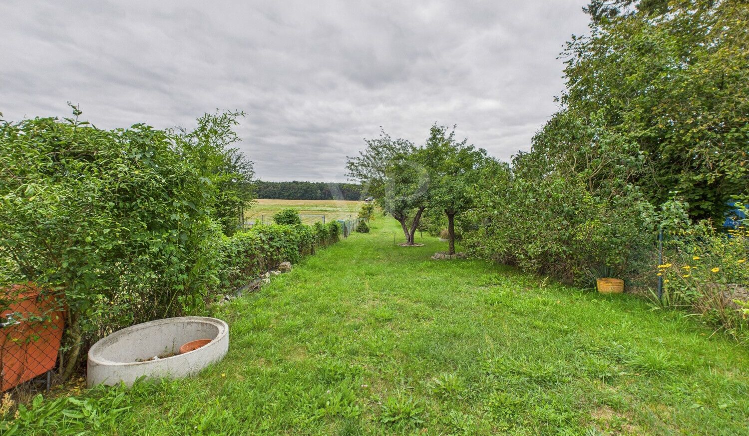 hinterer Grundstücksteil und Blick ins Grüne