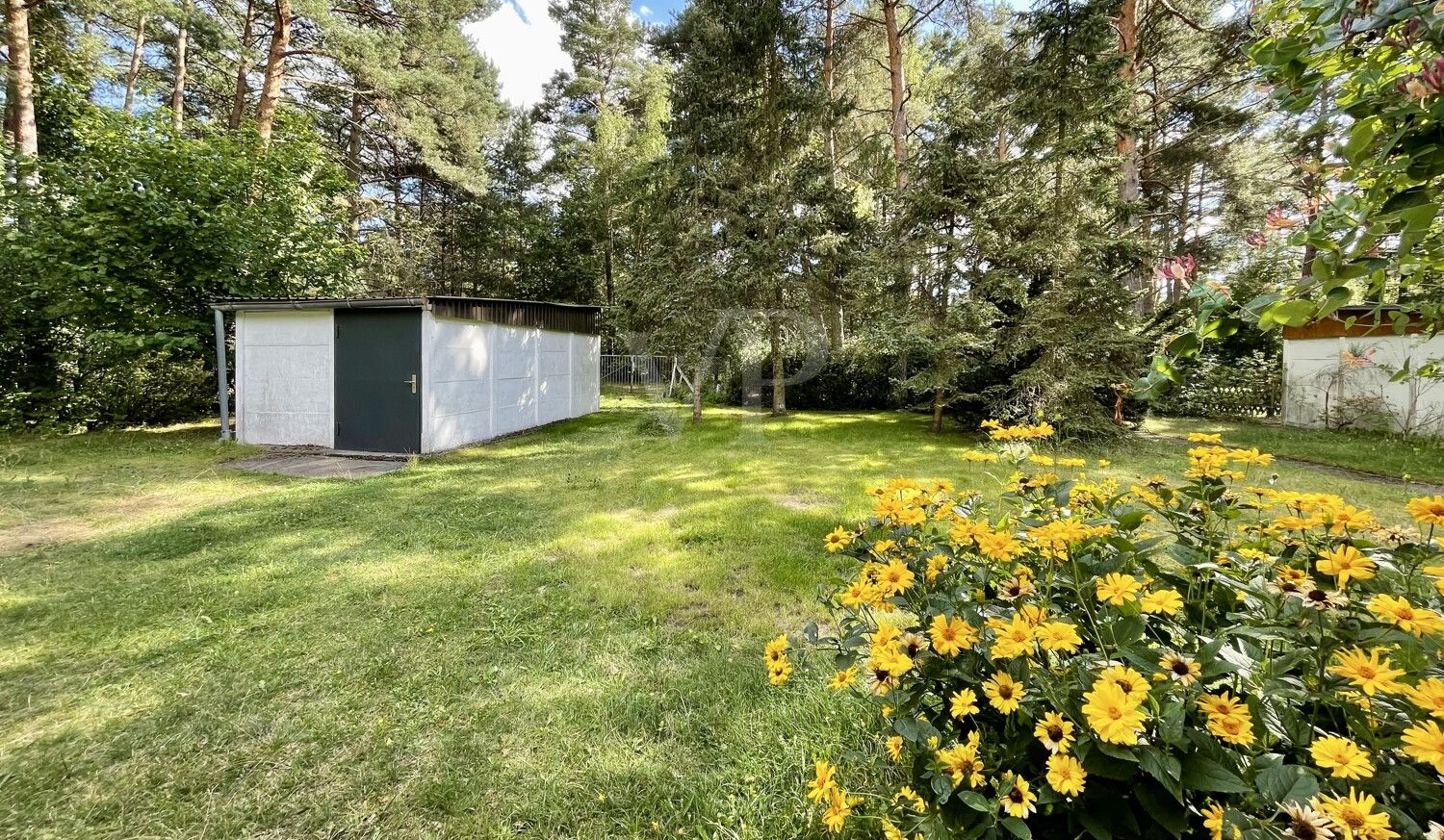 Garten vorn