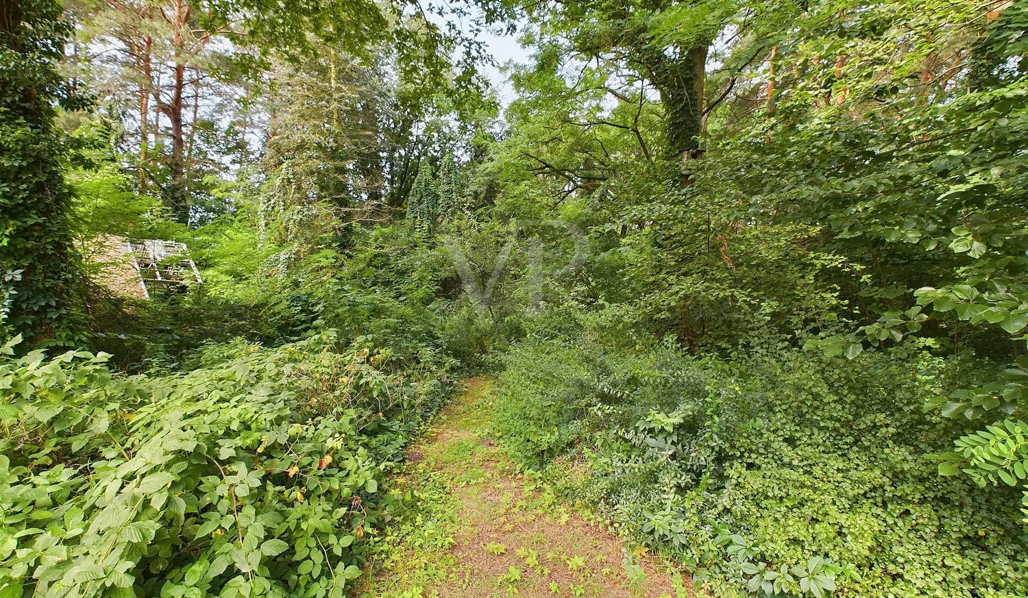 hinterer Grundstücksteil