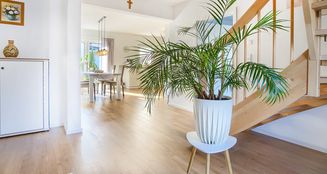 von_poll_real_estate_property_25175013_image_10