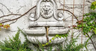 von_poll_real_estate_property_24430029_image_1