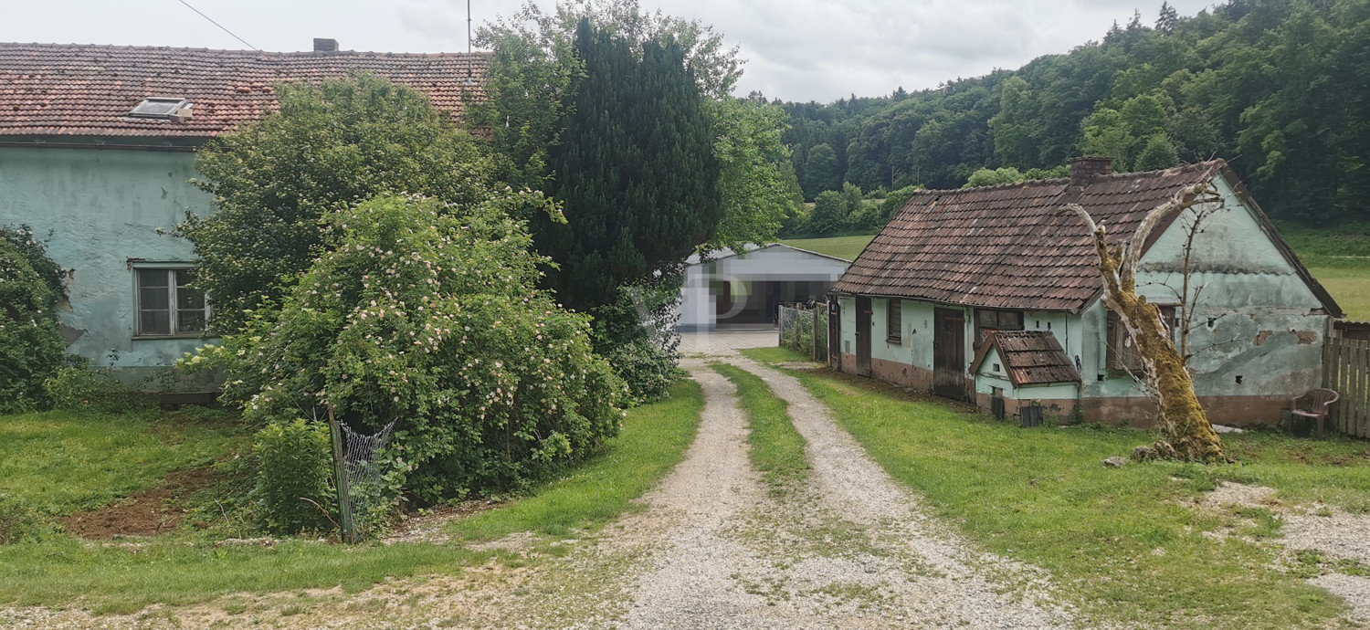 Schuppen