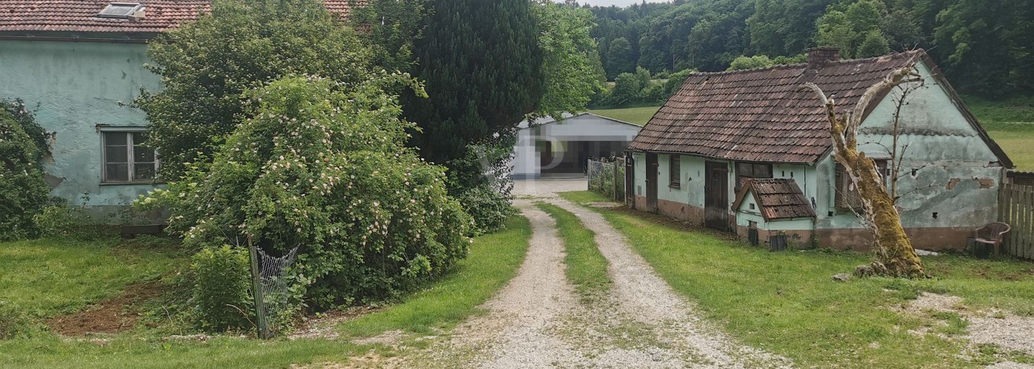 Schuppen
