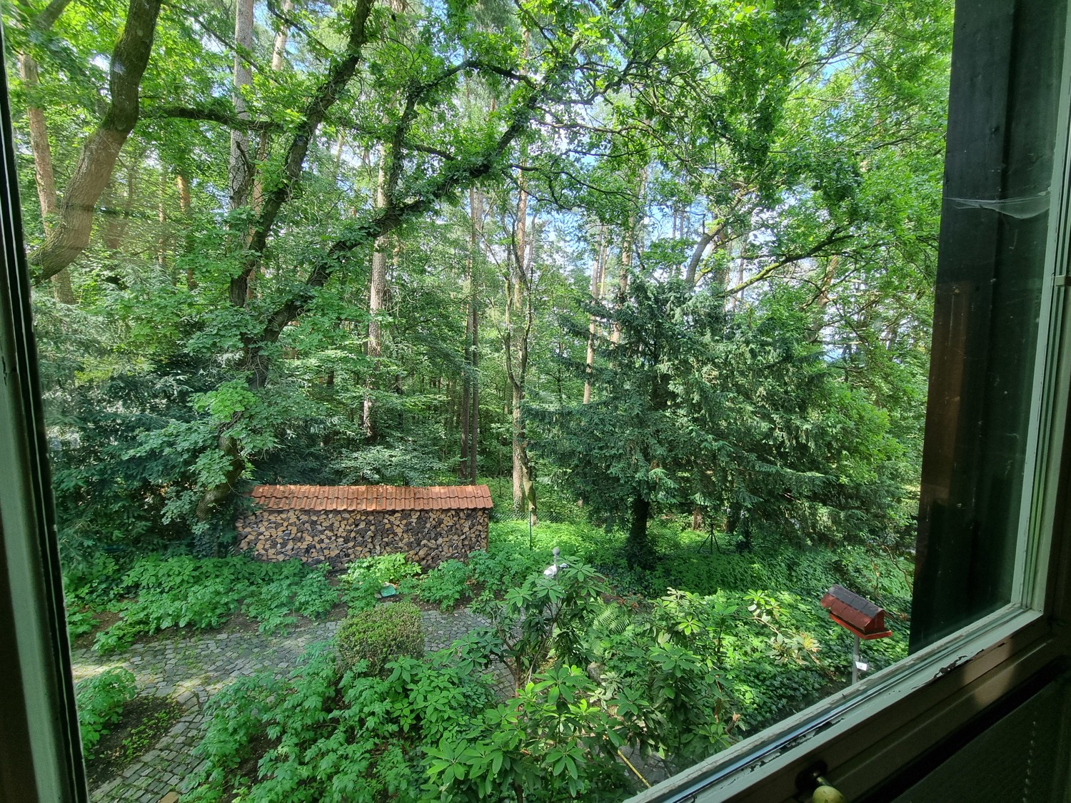 Ausblick vom Schlafzimmer