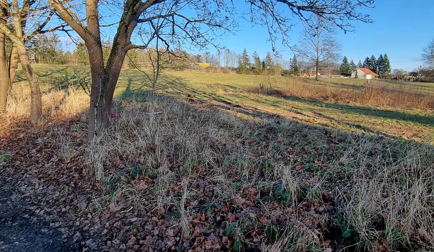 Blick Richtung Osten