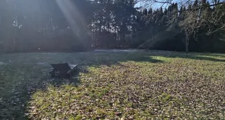 von_poll_real_estate_property_25269004_image_25