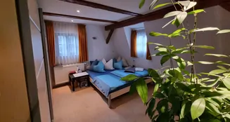 von_poll_real_estate_property_25269004_image_15