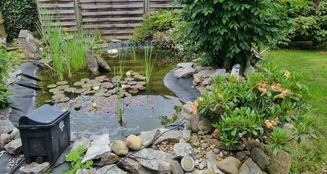 von_poll_real_estate_property_25269013_image_4