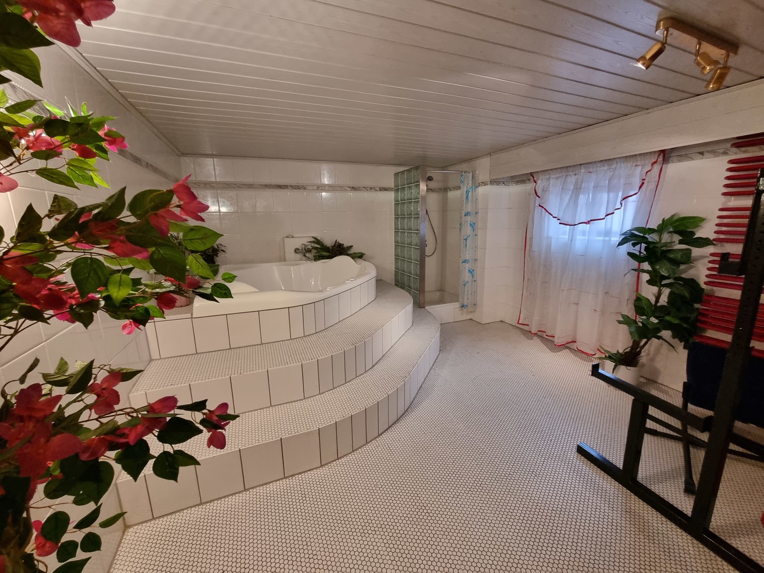UG-Whirlpool mit Dusche