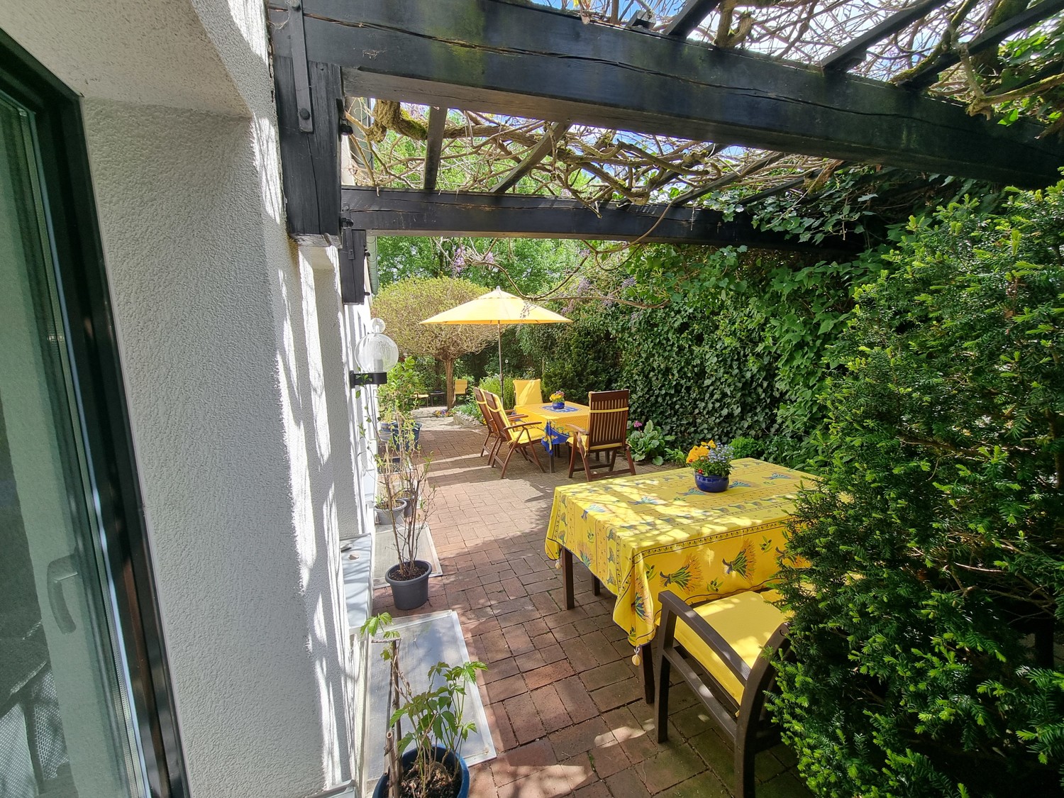 Südterrasse 1