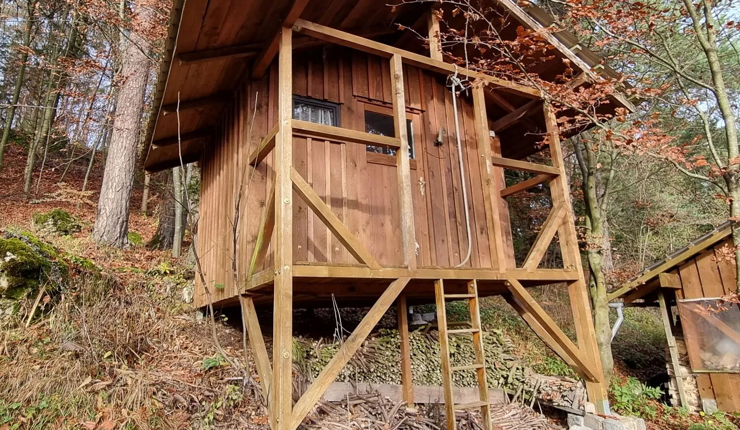 Luxus-Gäste-Baumhaus
