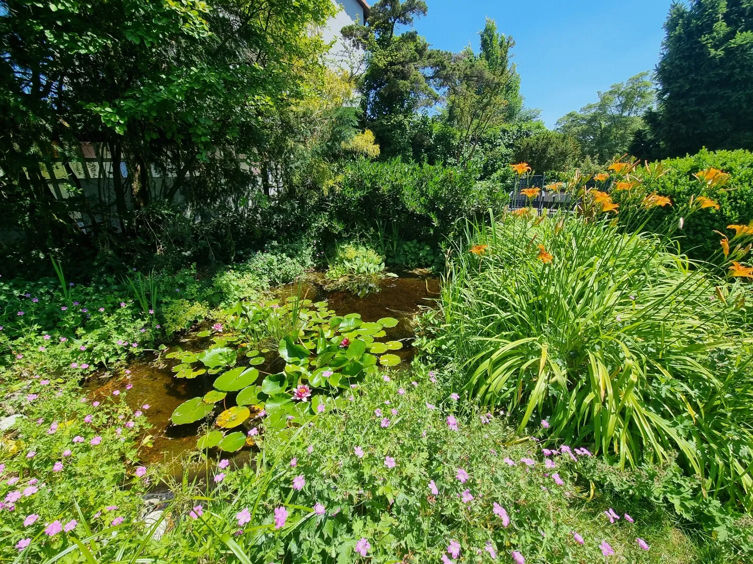 Gartenteich