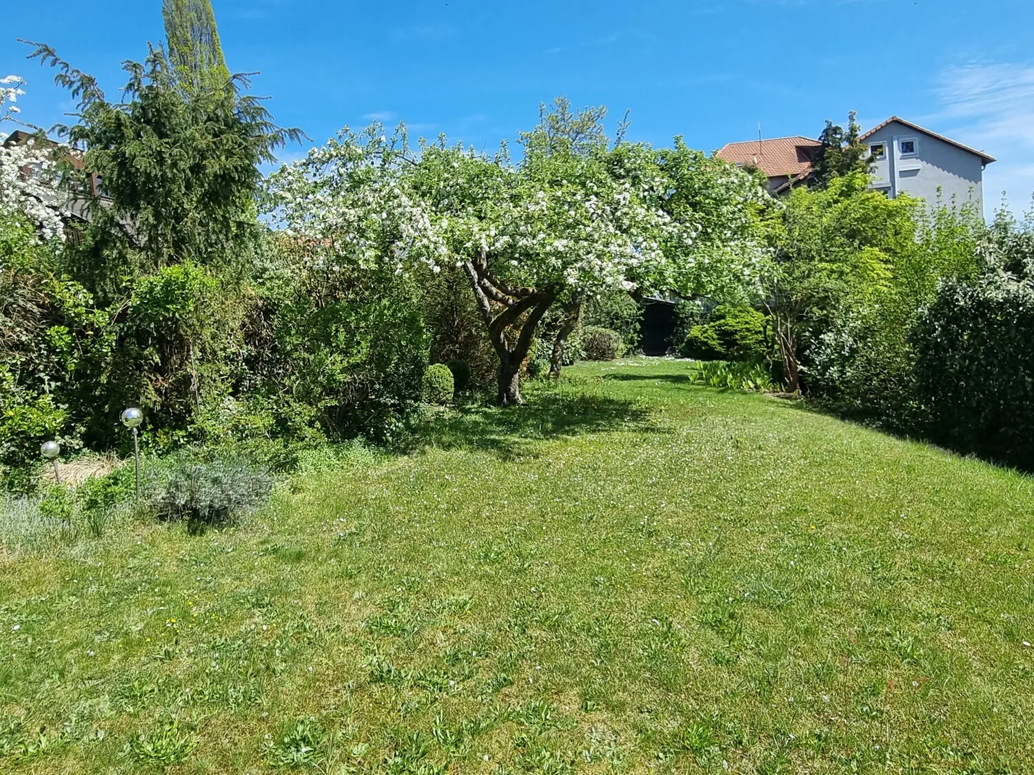 Gartenbereich / Möglichkeit 2. Bauplatz
