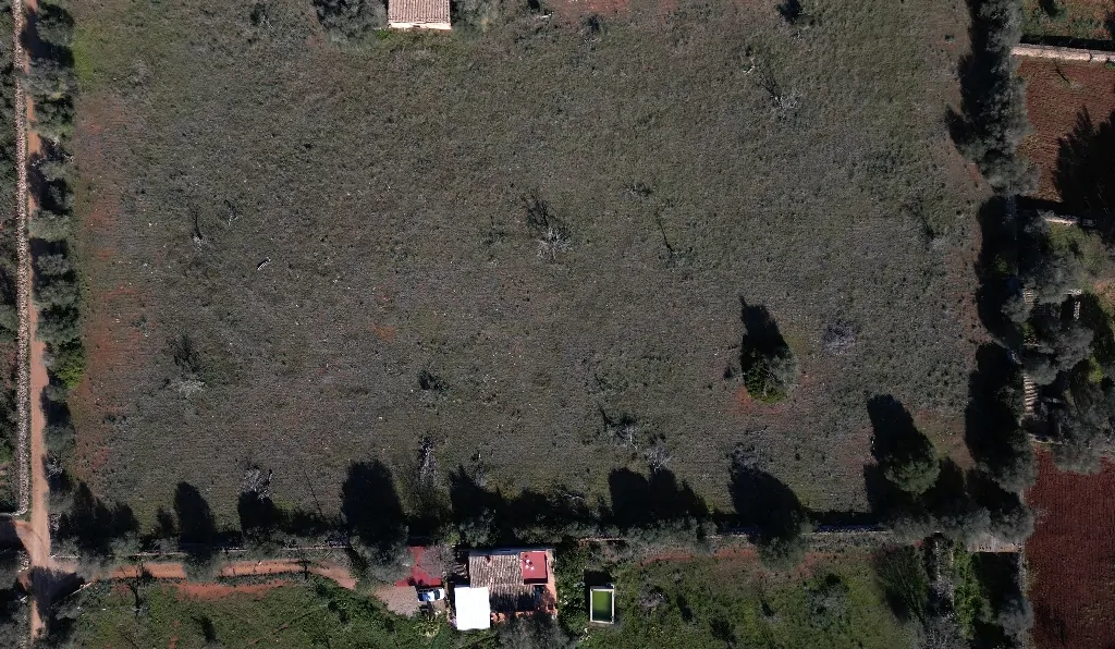 Grundstücke-mit-Baugenehmigung-in-Sencelles