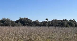 von_poll_real_estate_property_ES243744679_image_10