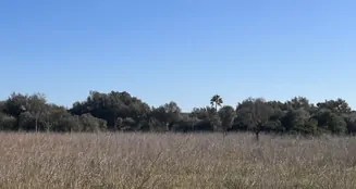 von_poll_real_estate_property_ES243744679_image_10