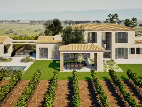 Finca-con-viñedo-en-Santa-Maria 