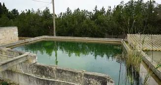 von_poll_real_estate_property_ES244912_image_3