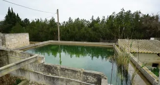 von_poll_real_estate_property_ES244912_image_3