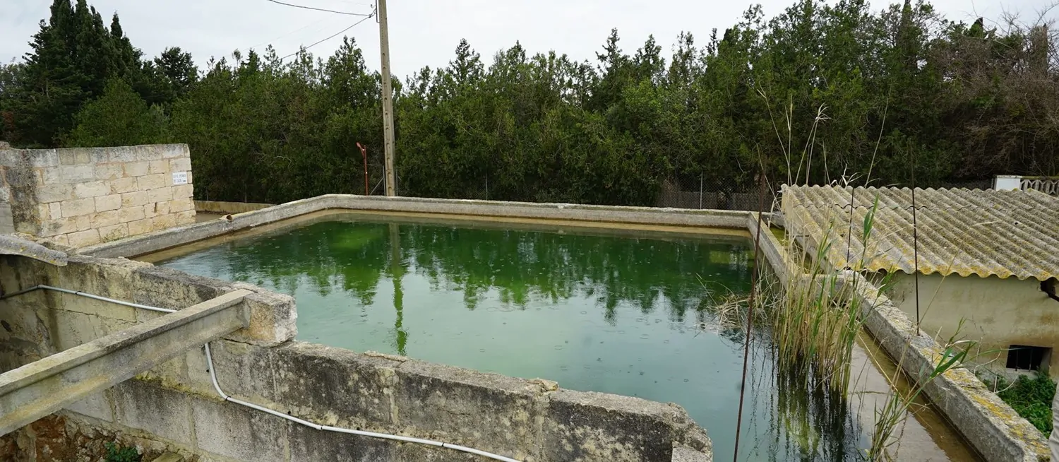 Parcela-edificable-Muro