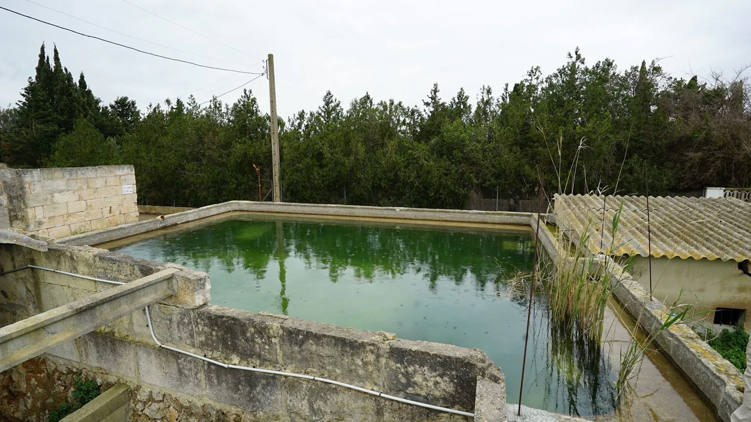 Parcela-edificable-Muro