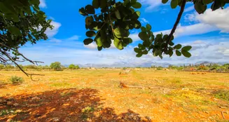 von_poll_real_estate_property_ES243744945_image_5