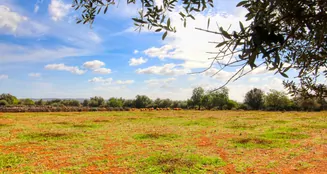 von_poll_real_estate_property_ES243744945_image_1