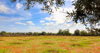 von_poll_real_estate_property_ES243744945_image_1