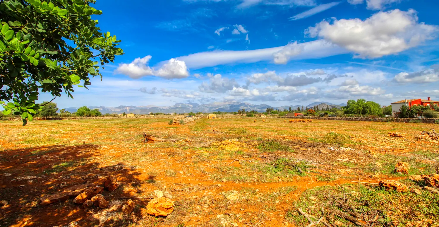 Zu-verkaufen-fantastische-Finca-in-sehr-ruhiger-Lage-bei-Costitx-Inca