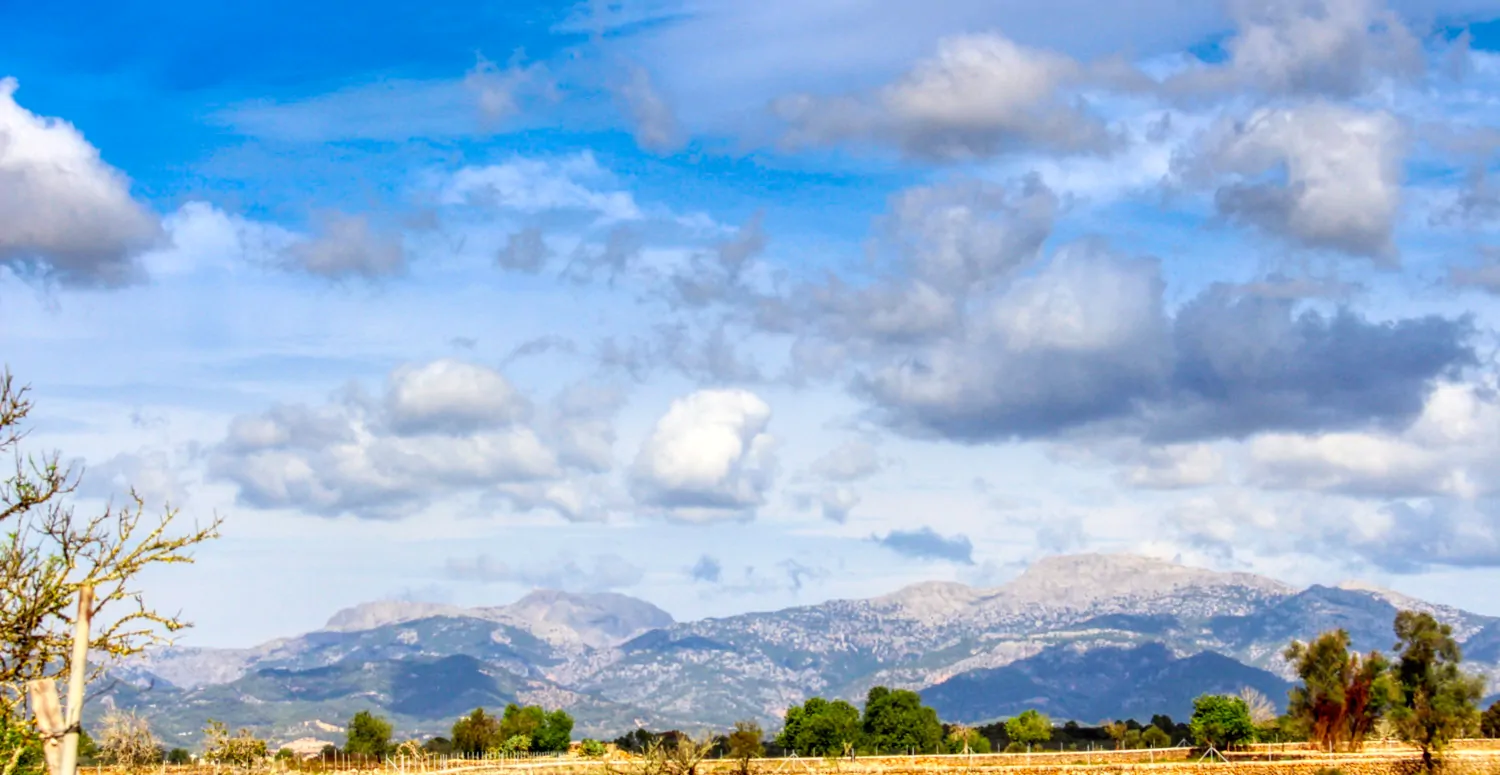 Zu-verkaufen-fantastische-Finca-in-sehr-ruhiger-Lage-bei-Costitx-Inca