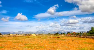 von_poll_real_estate_property_ES243744945_image_7