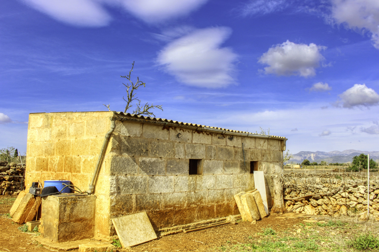 Zu-verkaufen-fantastische-Finca-in-sehr-ruhiger-Lage-bei-Costitx-Inca