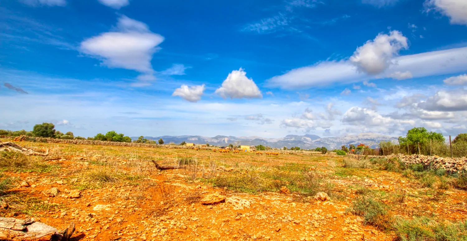 Zu-verkaufen-fantastische-Finca-in-sehr-ruhiger-Lage-bei-Costitx-Inca