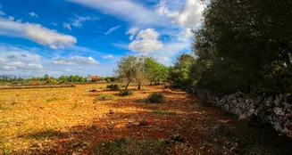 von_poll_real_estate_property_ES243744945_image_3