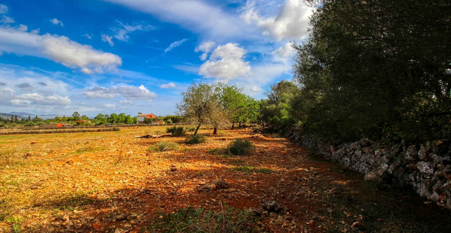 Zu-verkaufen-fantastische-Finca-in-sehr-ruhiger-Lage-bei-Costitx-Inca