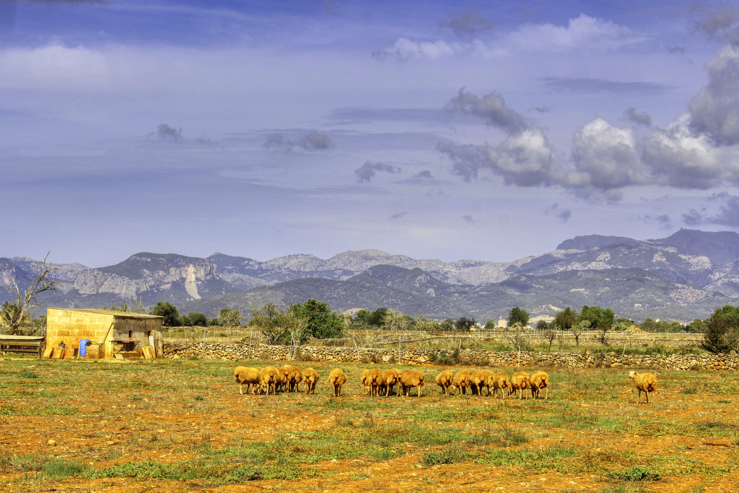 Zu-verkaufen-fantastische-Finca-in-sehr-ruhiger-Lage-bei-Costitx-Inca