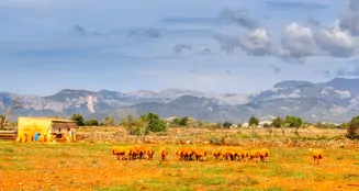 von_poll_real_estate_property_ES243744945_image_8