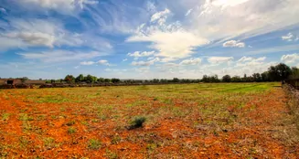 von_poll_real_estate_property_ES243744945_image_0