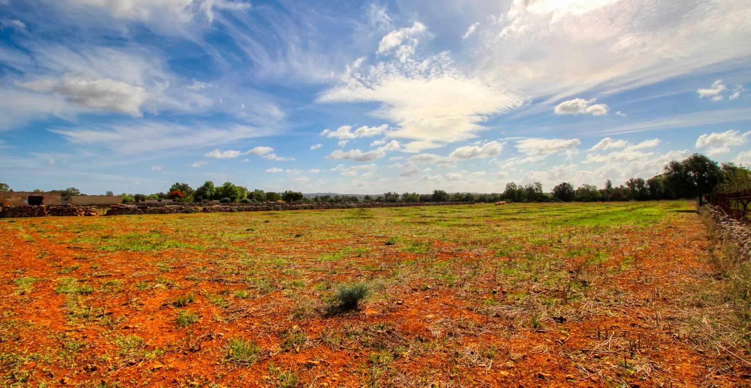 Zu-verkaufen-fantastische-Finca-in-sehr-ruhiger-Lage-bei-Costitx-Inca