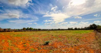 von_poll_real_estate_property_ES243744945_image_0