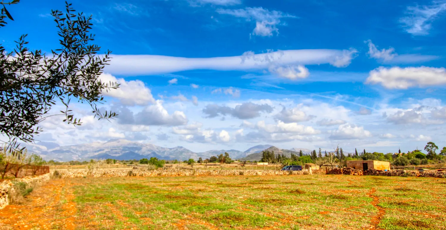 Zu-verkaufen-fantastische-Finca-in-sehr-ruhiger-Lage-bei-Costitx-Inca