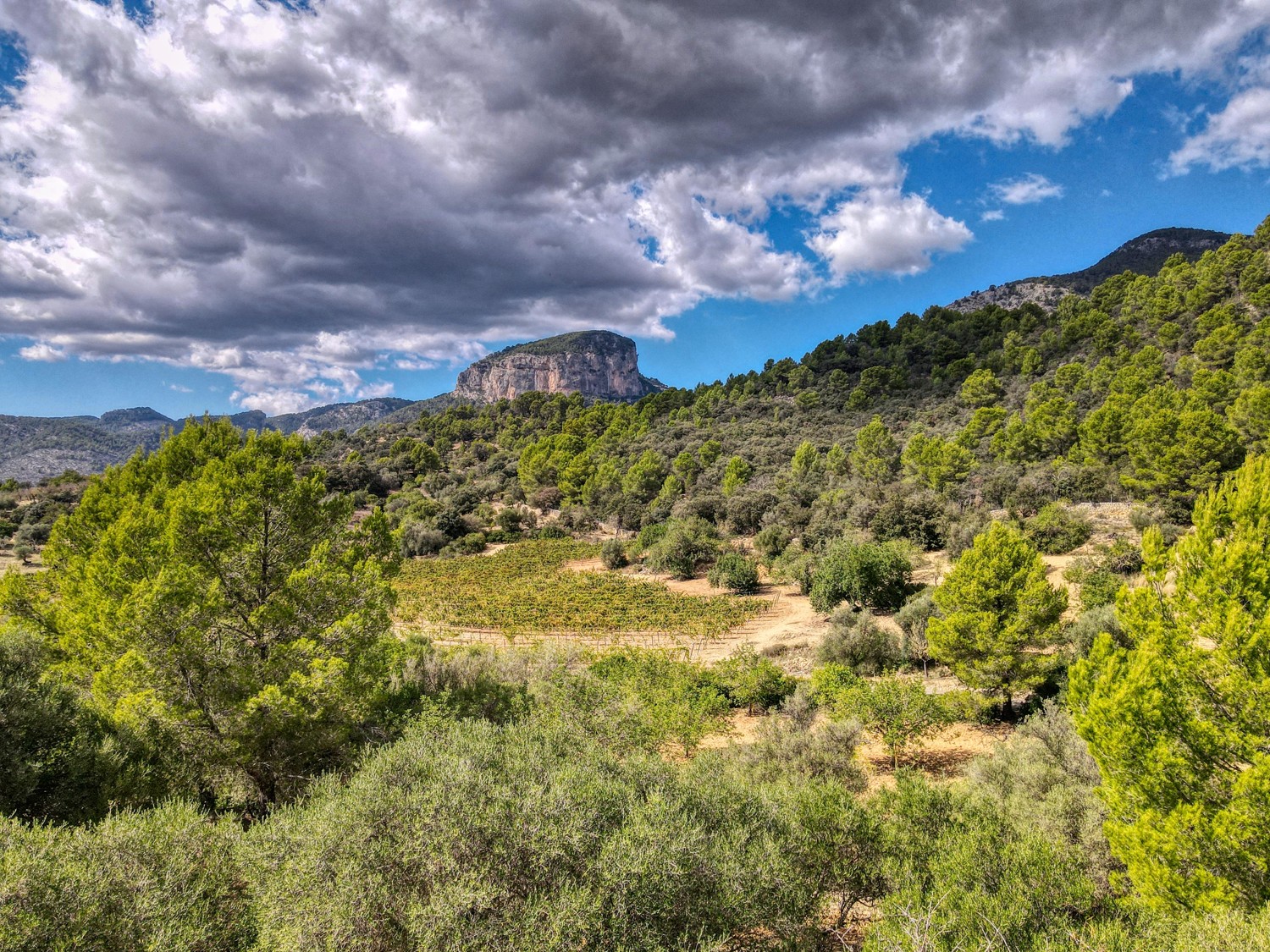 Finca-Alaró