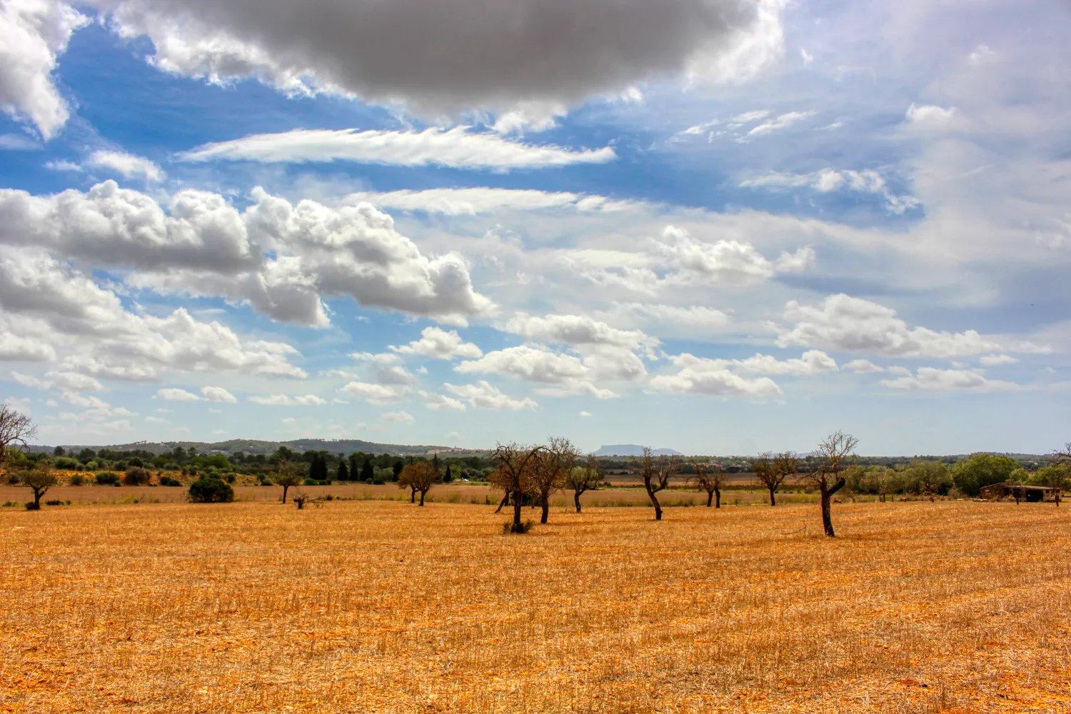 En-venta-gran-finca-en-zona-muy-tranquila-cerca-de-Costitx-Inca