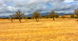 von_poll_real_estate_property_ES243744962_image_32