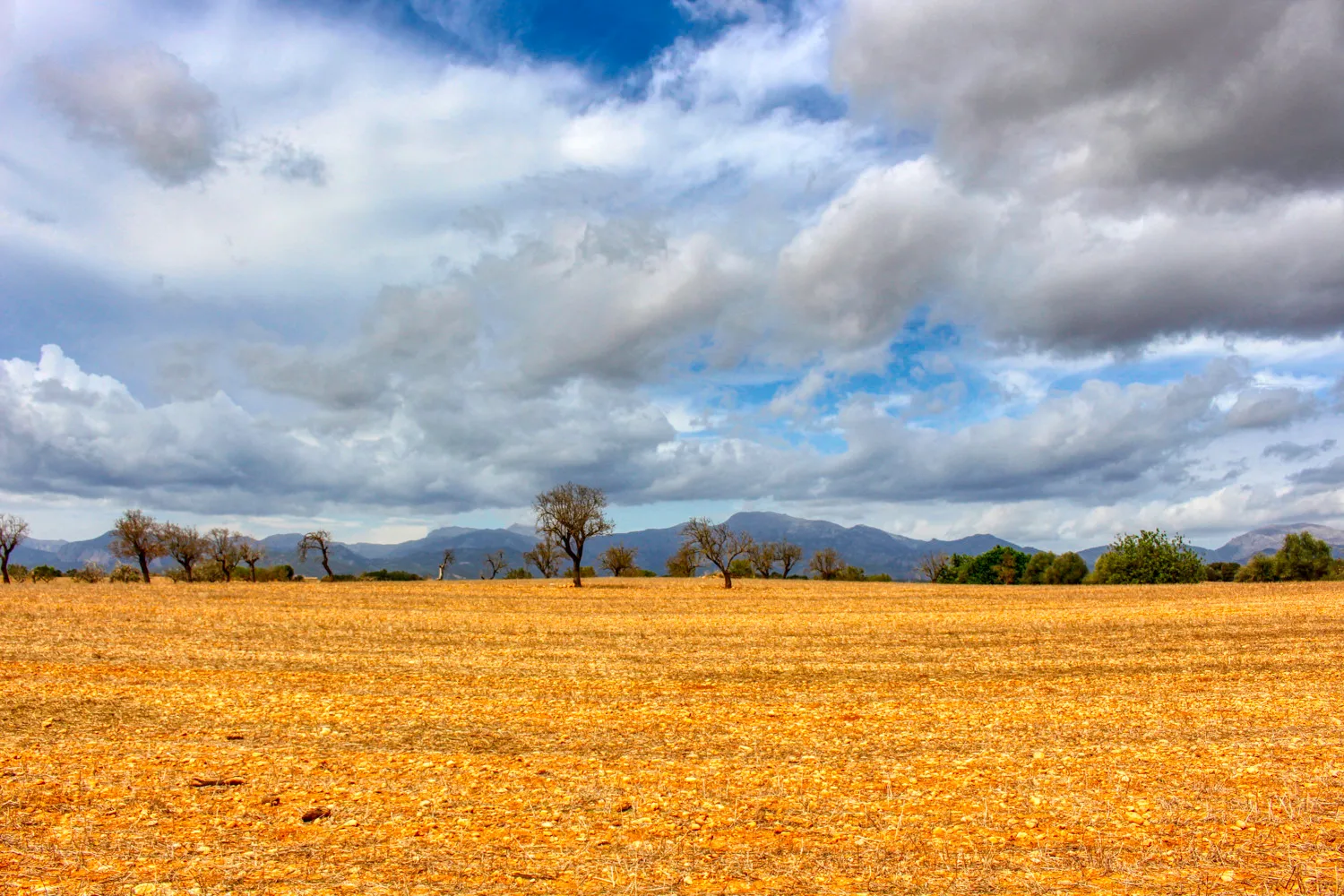 En-venta-gran-finca-en-zona-muy-tranquila-cerca-de-Costitx-Inca