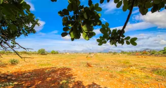 von_poll_real_estate_property_ES243744945_image_27