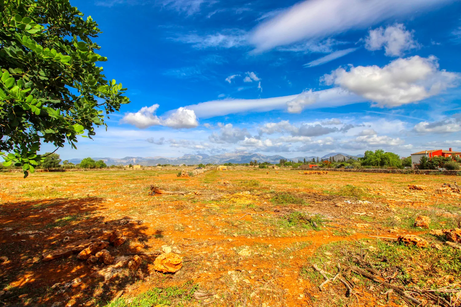 En-venta-fantástica-finca-en-zona-muy-tranquila-cerca-de-Costitx-Inca