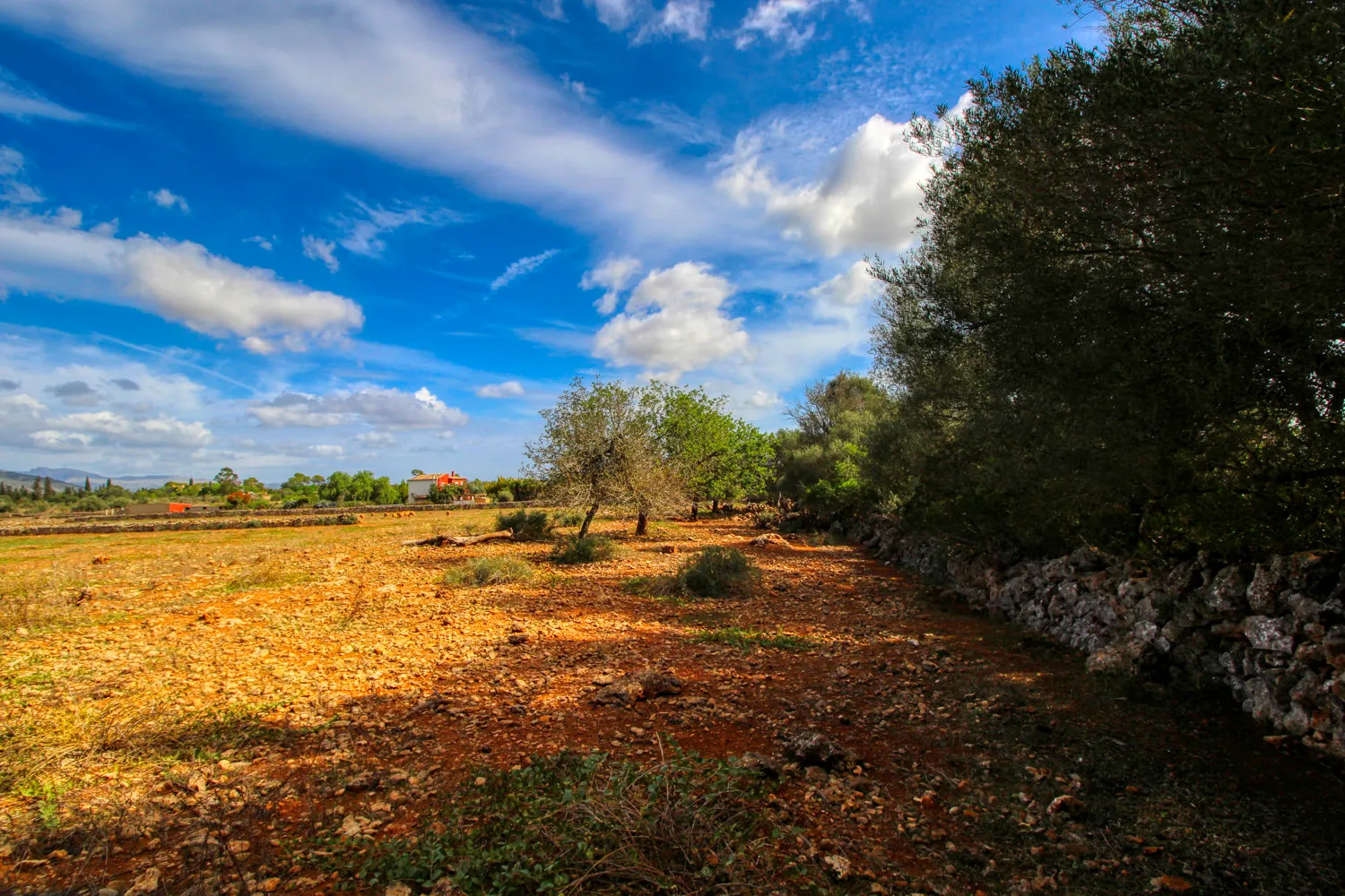 En-venta-fantástica-finca-en-zona-muy-tranquila-cerca-de-Costitx-Inca